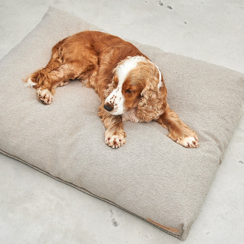 Coussin pour chien Mondo