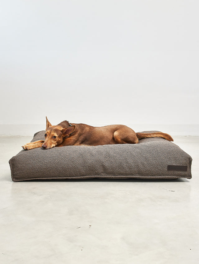 Coussin pour chien Mondo