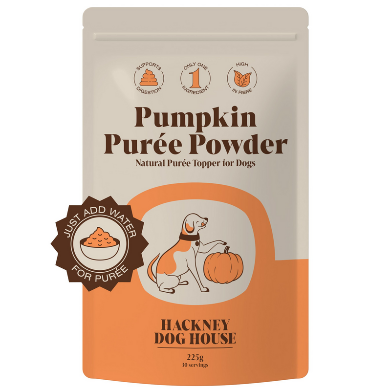Poudre de Potiron – Complément digestif et prébiotique naturel pour chiens