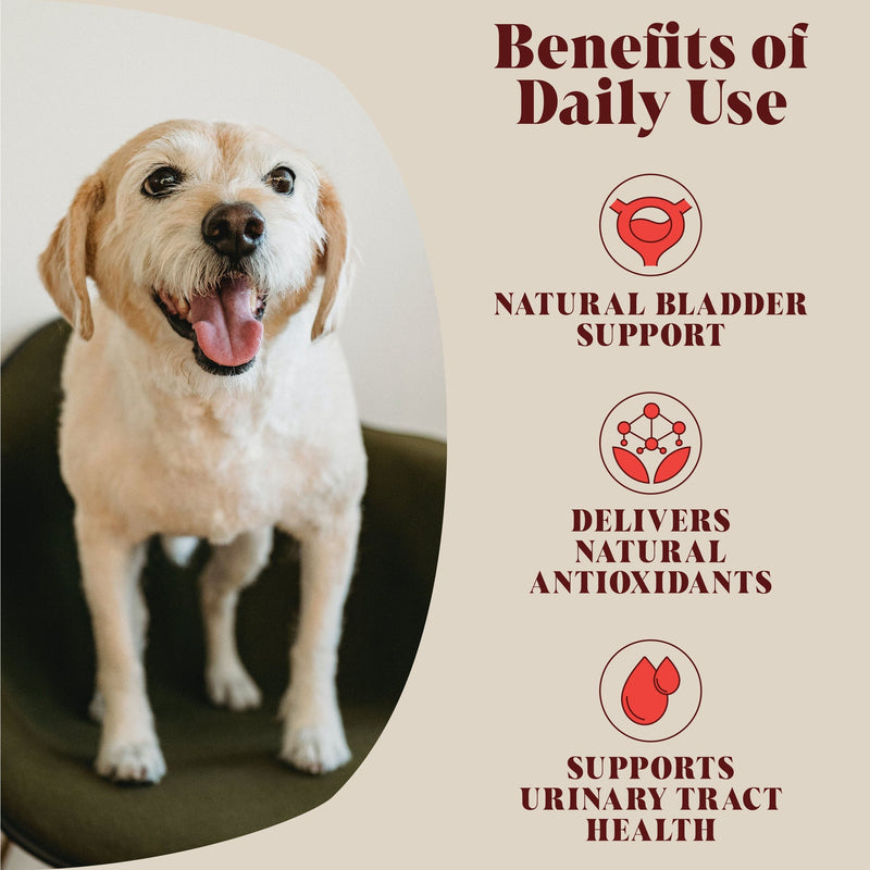 Soutien naturel pour des fonctions urinaires -Urinary Cranberry –
