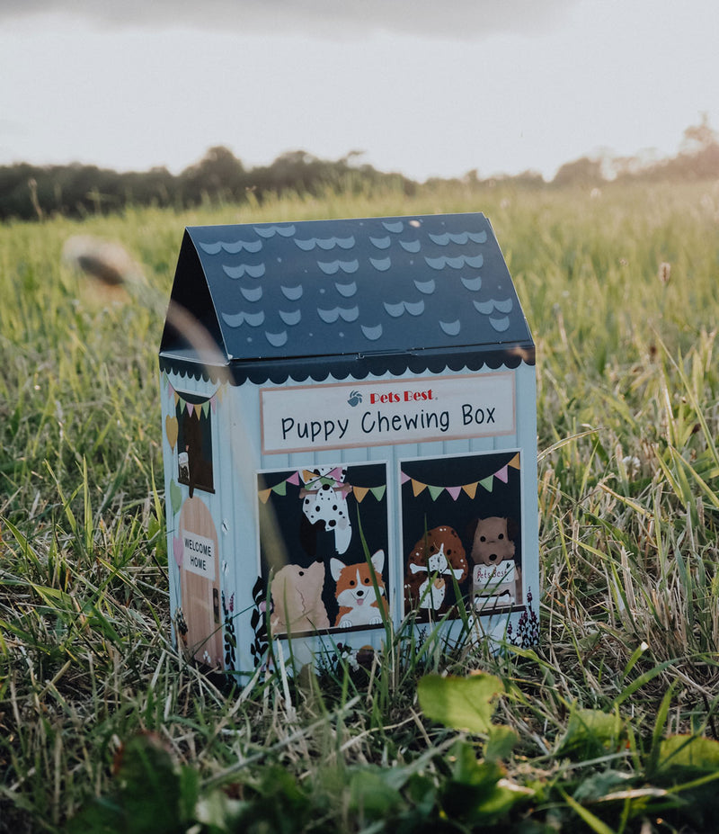 Puppy Box - Boîte de friandises et mastications pour chiots