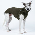 Pull polaire pour Whippet