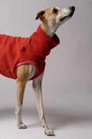 Pull polaire pour Whippet