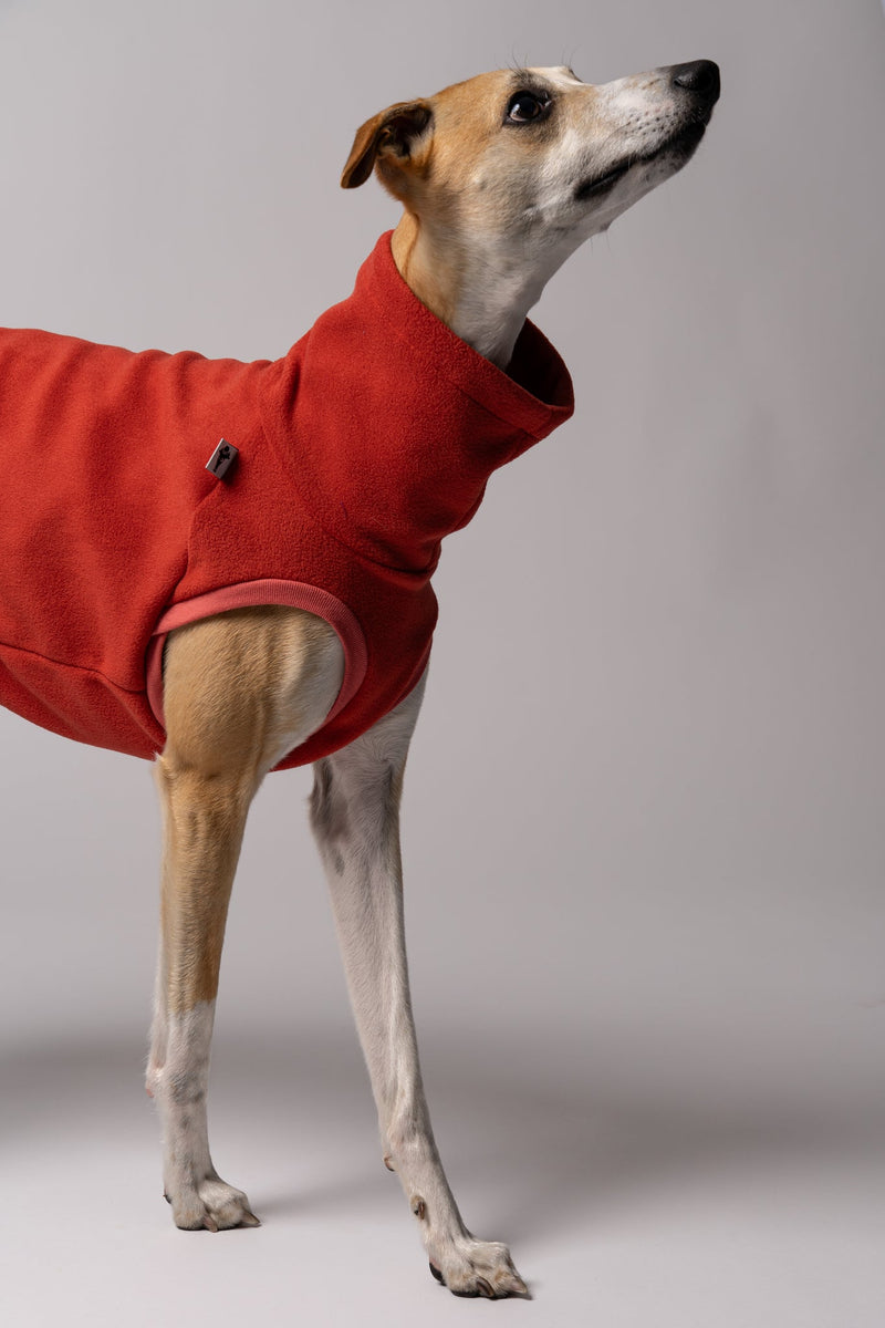Pull polaire pour Whippet
