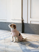 Manteau d’hiver imperméable vert pour chien