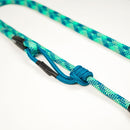 Laisse pour chien en corde et mousqueton d'escalade