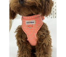 Harnais pour chien réglable (plusieurs motifs)