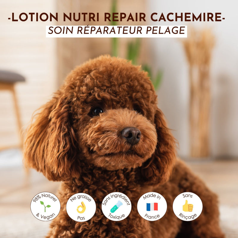 Lotion Cachemire - Soin Nutri Repaire Naturel pour Chiens et Chats