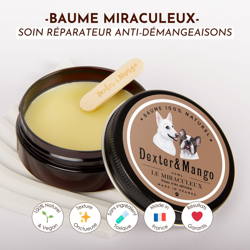 Baume naturel réparateur pour peau abîmée des chiens - Le Miraculeux