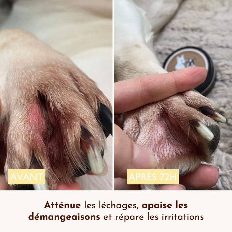 Baume naturel réparateur pour peau abîmée des chiens - Le Miraculeux