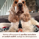 Nettoyant Naturel pour les Oreilles des Chiens Pot de Miel