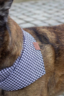 Bandana chien vichy noir et blanc Madrague – Atelier Markiz