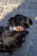 Bandana Scarlett pour chien Atelier Markiz