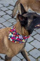 Bandana chien fleuri multicolore Carmen Atelier Markiz