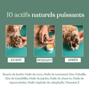 Baume Réparateur Naturel Coussinets & Truffe pour Chien et Chat – Weloca