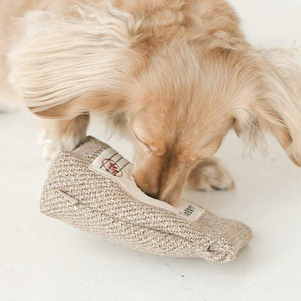 Jouet d’enrichissement petit chien Lambwolf Collective – Coffee Beans