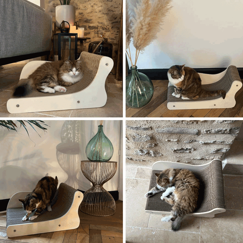 Griffoir pour chat Canapé Homycat XL