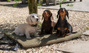 Travel Dog Bed Olive – Tapis de voyage pour chien Trimmi