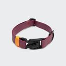 Collier pour chien en BioThane®