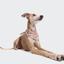 Bandana pour chien blossom