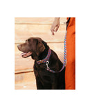 Laisse pour chien Satuna