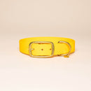 Collier pour chien en Biothane L'aventurier