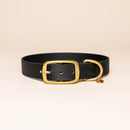 Collier pour chien en Biothane L'aventurier