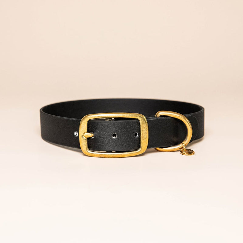 Collier pour chien en Biothane L'aventurier