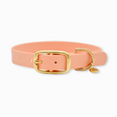 Collier pour chien en tpu orange