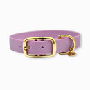 Collier pour chien en tpu violet
