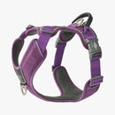 Harnais pour chien Dog Copenhagen Comfort Walk Pro violet