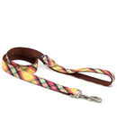 Collier pour chien Mollet – Brott Barcelona