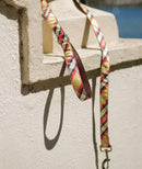 Collier pour chien Mollet – Brott Barcelona