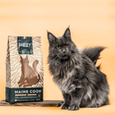 Paquet de croquettes Ziggy à gauche et maine coon charbon à droite