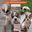 Bouchées anti-démangeaison Weloca