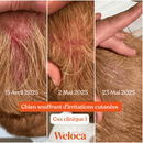Bouchées anti-démangeaison Weloca