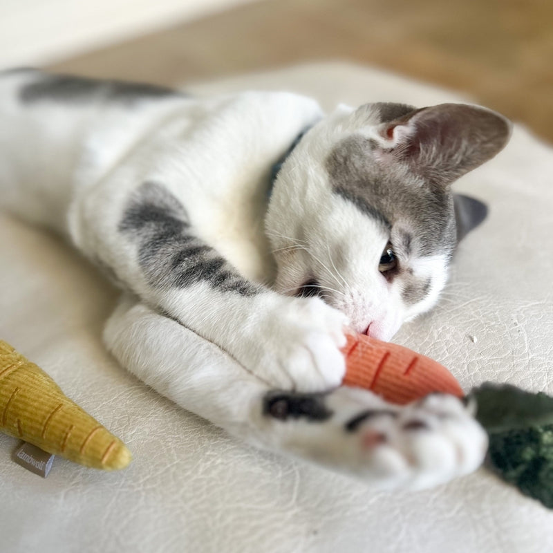 Jouets pour chat à la cataire Kitty baby carrots