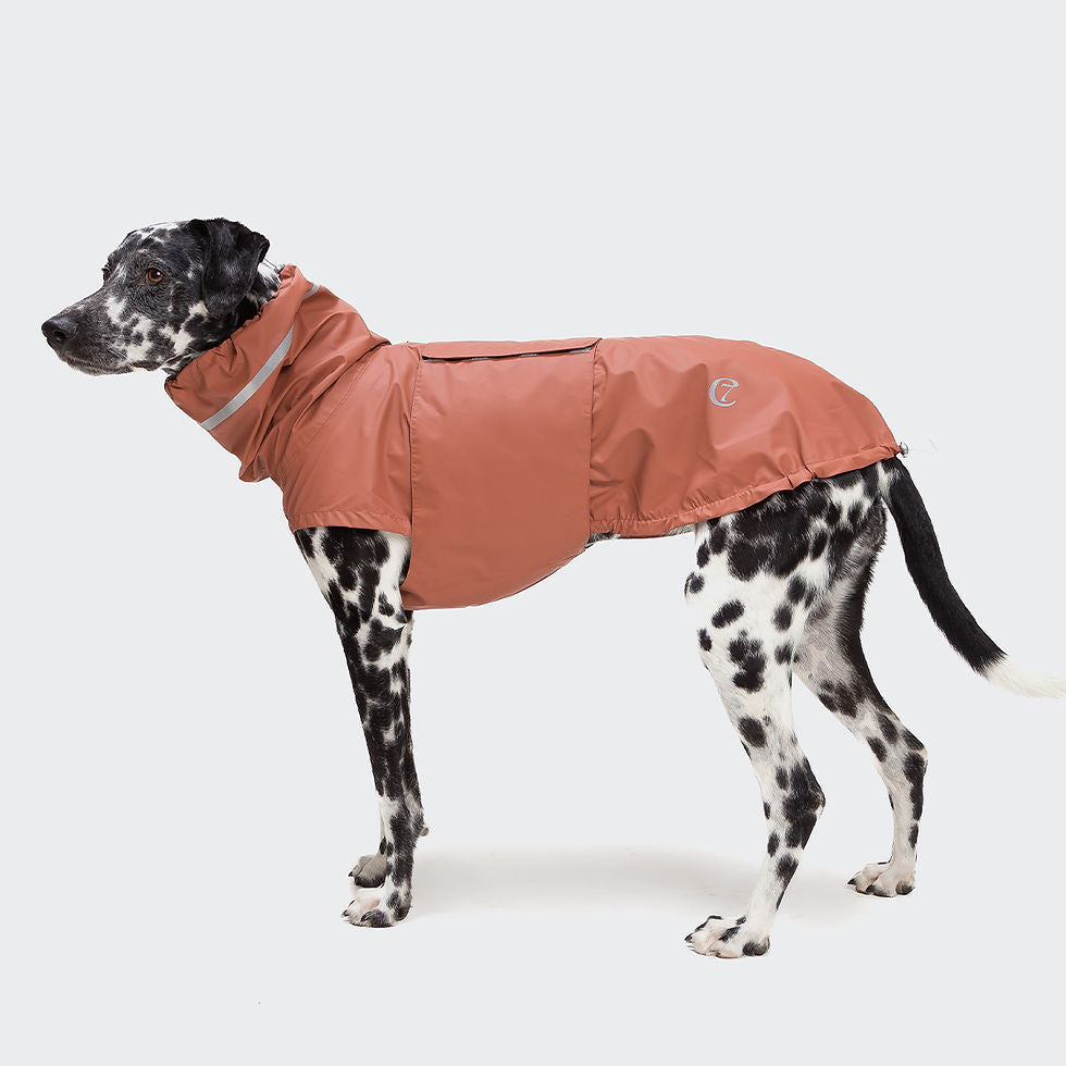 Manteau imperméable grandes tailles pour chiens-Petits Compagnons