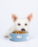 Bol Cloud pour chien en grès artisanal – Egg Back Home