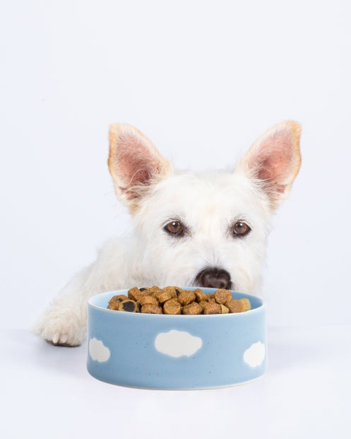 Bol Cloud pour chien en grès artisanal – Egg Back Home