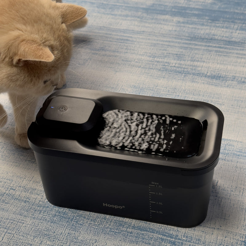 Fontaine à eau automatique et design pour chat et chien