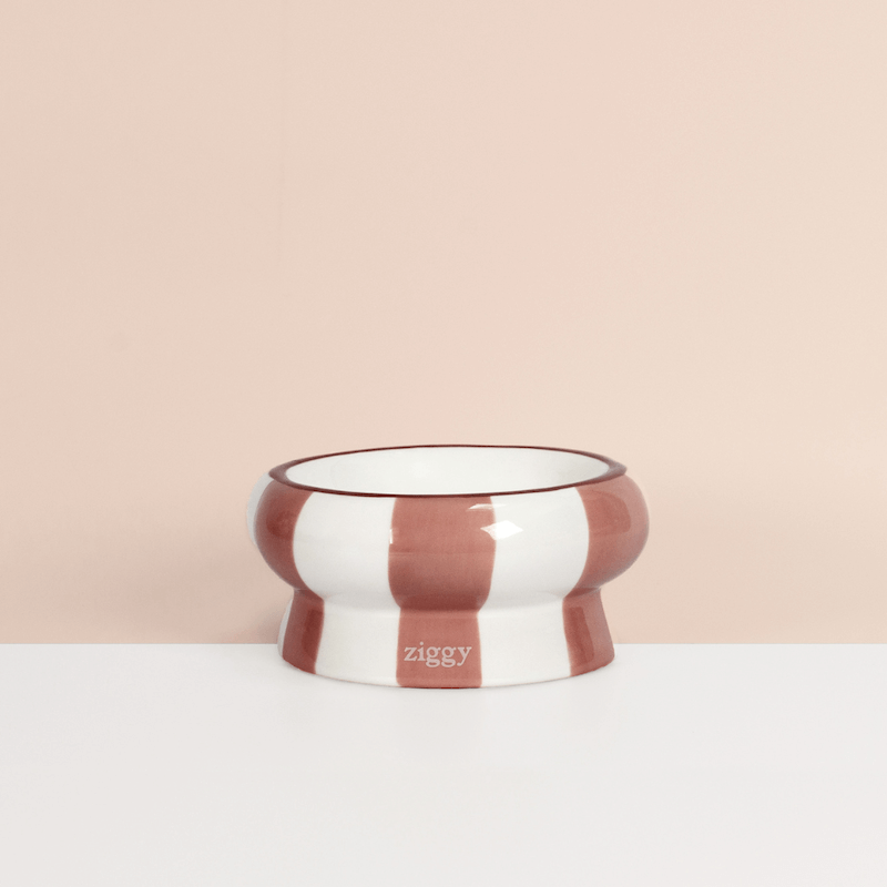 Gamelle Pour Chat Cool Cat Club