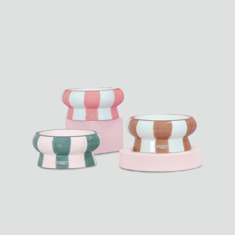 Gamelle Pour Chat Cool Cat Club