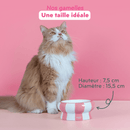 Gamelle Pour Chat Cool Cat Club