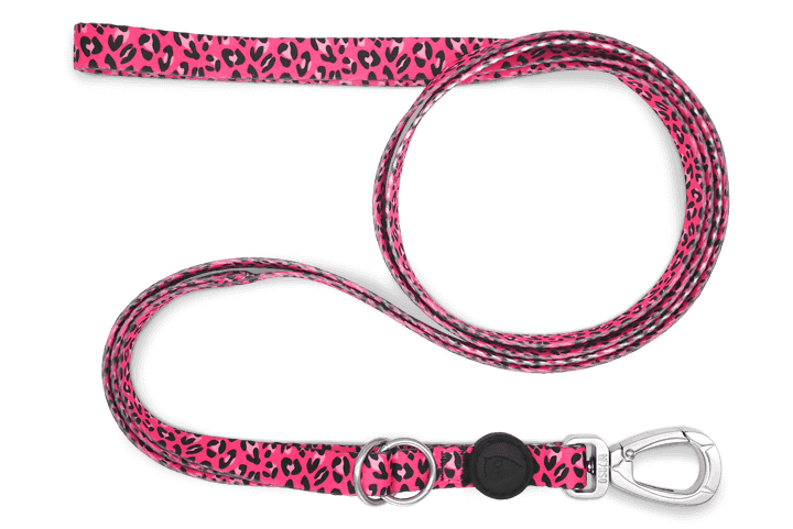 Laisse Bubble Leo