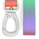 Laisse Spring Blossom