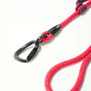 Laisse pour chien en corde et mousqueton d'escalade