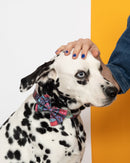 Noeud papillon pour chien Mud Cloth