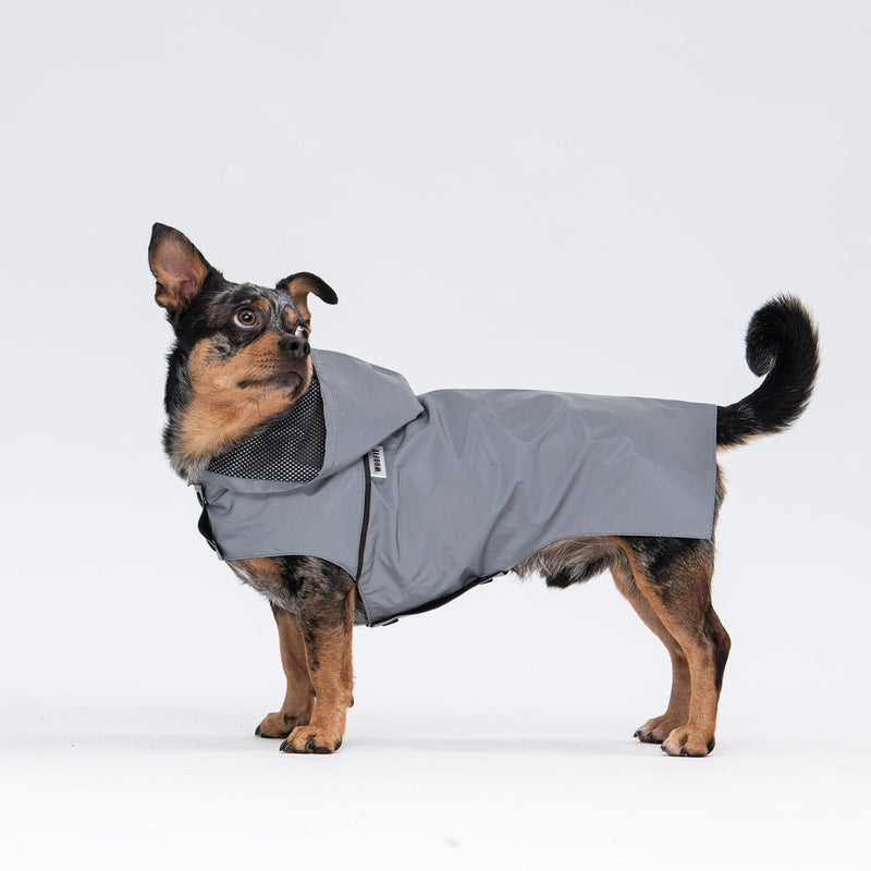 Imperméable pour chien toutes tailles