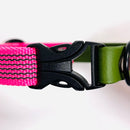 Collier DUO biothane pour chien